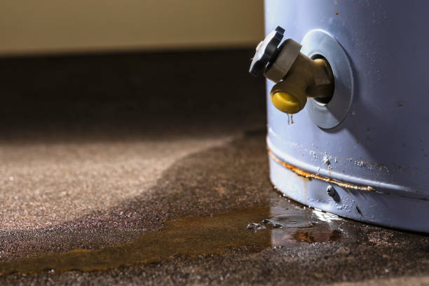 Best Water damage restoration near me  in Westminster, MD