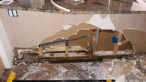 Best Ceiling water damage repair  in Westminster, MD