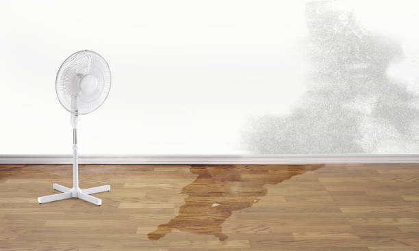 Best Residential water damage restoration  in Westminster, MD