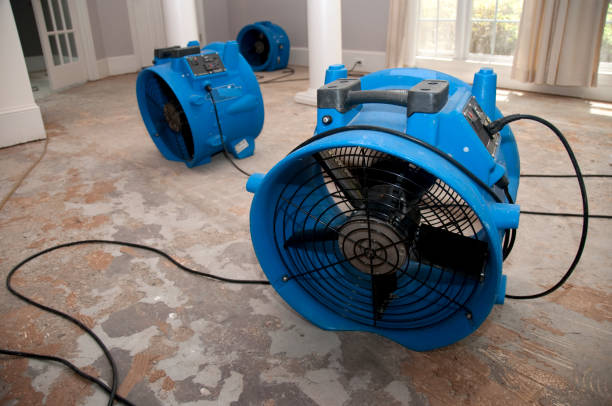 Best Flooded house restoration  in Westminster, MD