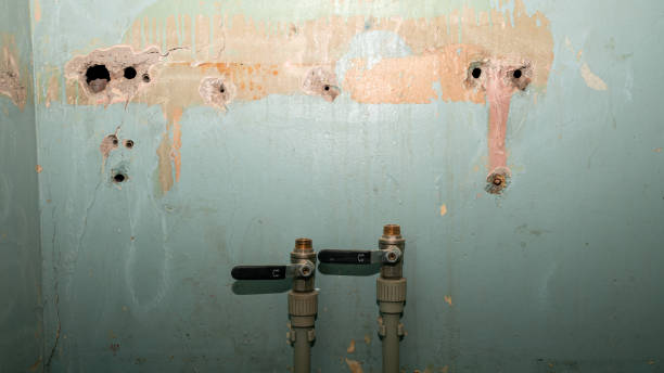 Best Carpet water damage restoration  in Westminster, MD