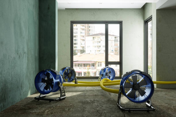 Best Local water damage restoration  in Westminster, MD